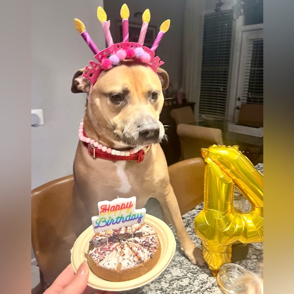 Meet your Posher, Nádia - Picture 2 of 11